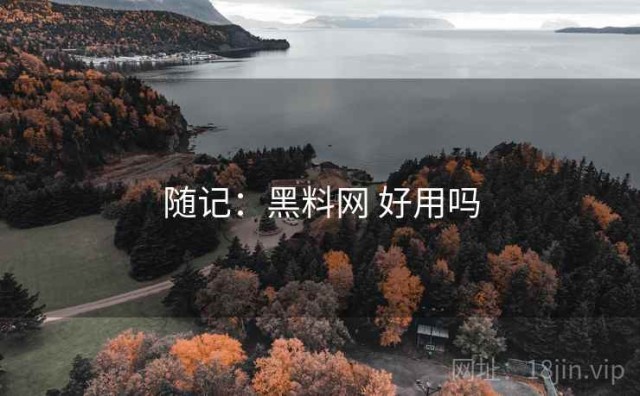 随记：黑料网 好用吗
