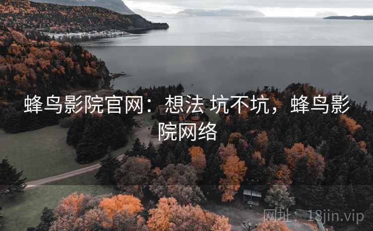 蜂鸟影院官网：想法 坑不坑，蜂鸟影院网络