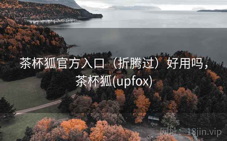 茶杯狐官方入口（折腾过）好用吗，茶杯狐(upfox)