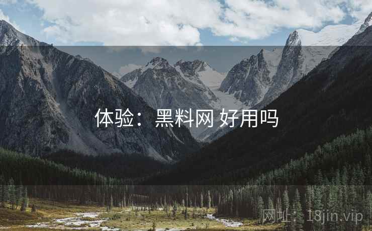 体验：黑料网 好用吗