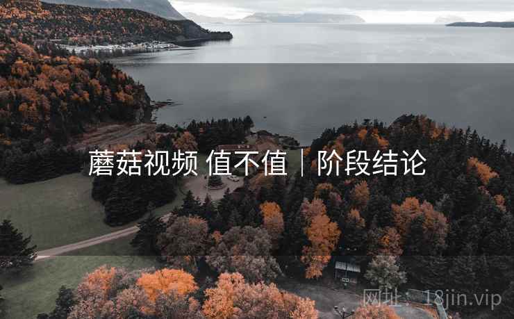 蘑菇视频 值不值｜阶段结论